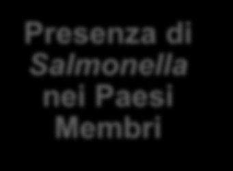 L ESEMPIO DELLA SALMONELLA Obiettivi di riduzione Studi di base Presenza di Salmonella nei Paesi Membri Piani di controllo nazionali contenenti requisiti minimi Ruolo dell EFSA: Svolgimento dei piani