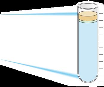 Il sangue parte corpuscolata % 100 90 80 70 60 50 40 30 20 10 0 piastrine globuli bianchi globuli rossi sangue 55% plasma 45% parte corpuscolata proteine sali disciolti acqua plasma % 100 90 80 70 60