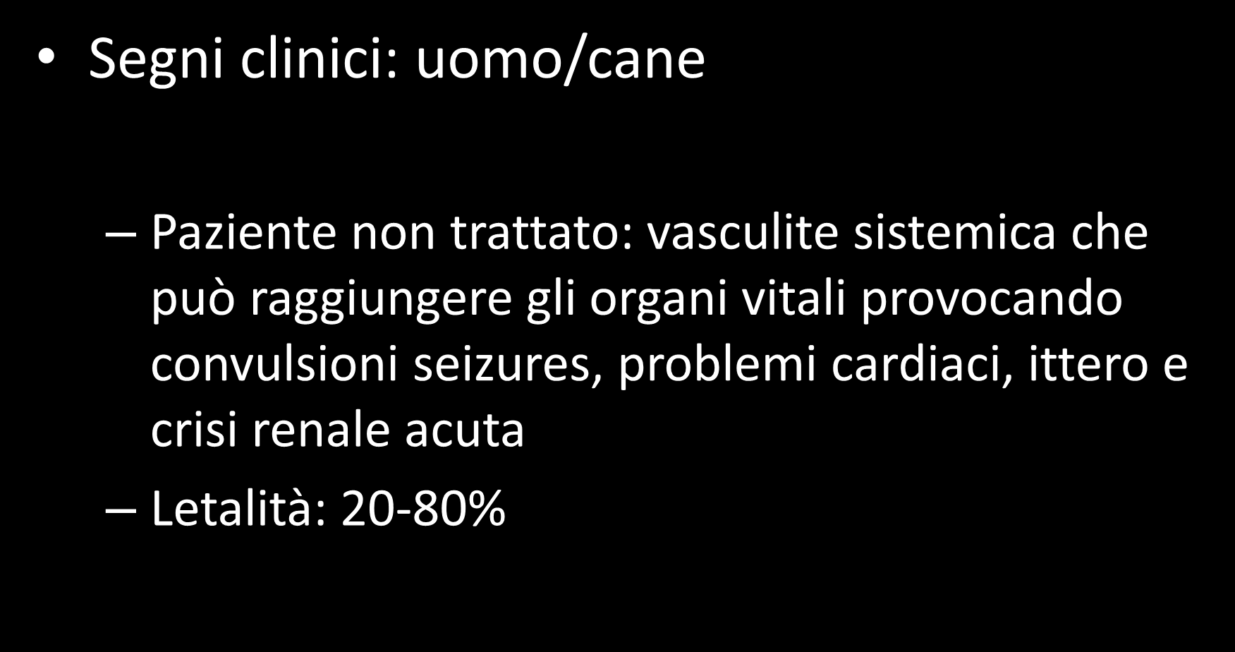 Rocky Mountain Spotted Fever Segni clinici: uomo/cane Paziente non trattato: vasculite sistemica che può