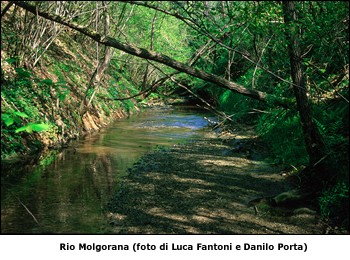 Natura da vivere! L' ORO BLU progetto su