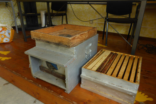 LE ARNIE Gli apicoltori allevano le api in casette chiamate ARNIE. Ogni arnia contiene diversi telai, ognuno dei quali svolge la funzione di un favo.