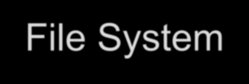 File System