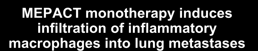 MEPACT monotherapy induces infiltration