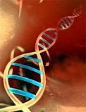 Alimenti e Resistenza antimicrobica Geni di resistenza: porzioni di DNA noti come elementi genetici mobili Possono coesistere fattori di resistenza multipli Lo sviluppo di resistenza, può verificarsi