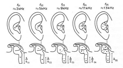 DDF Direction Dependent Filtering, filtraggio effettuato dall orecchio esterno, dalla testa e dal