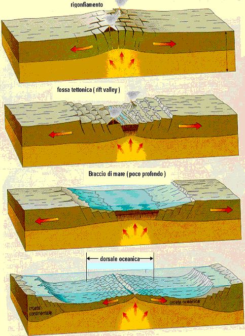 La litosfera è suddivisa in zolle (o placche) di varia forma e dimensione che si muovono sullo strato immediatamente sottostante del mantello Margini divergenti : quando quelli