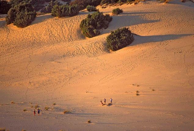 L Ambiente La chiamano Costa Verde perché gli arbusti di lentischio e corbezzolo, pinete, cespugli profumati, cisti, cuscini di elicriso e colonie di ginepri dalle forme sinuose e contorte ricoprono