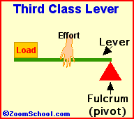 Leva di 3 genere (inter-potente): Se il fulcro (F) è più vicino alla potenza (forza motrice, P) che
