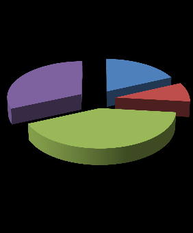 47,66% 38,53% DIP FAC 31,60% 18,16% 8,58% DIDATTICA SBA POLO ALTRO PERSONALE 5,31% 0,56% 7,94% AC 41,67% INFRASTRUTTU RE Figura 5: Suddivisione dei costi per macro-area Figura 6: suddivisione dei