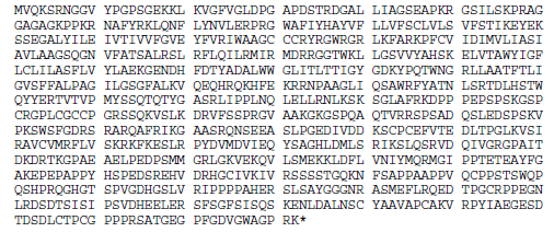 Thomas Foiadelli et al. 873 AA 272 AA Figura 4. Sequenza aminoacidica del canale KCNQ2 wildtype (in alto) e KCNQ2 mutato a livello di Glu257 (in basso). Figura 5.
