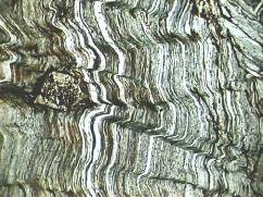 rocce => sedimentarie <= le rocce