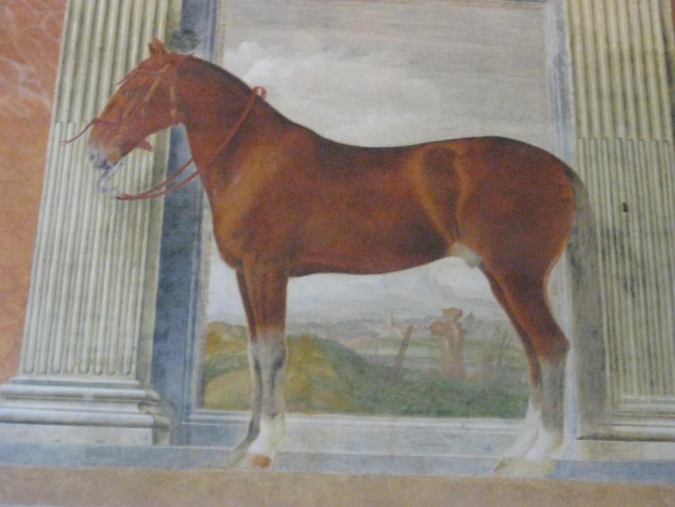 I signori davano agli artisti una paga ogni mese se il pittore stava al loro servizio. Nella sala dei cavalli, Giulio, ha riportato nei disegni, dei cavalli realmente esistiti.