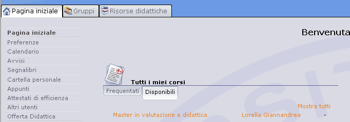 Testo personalizzato: inserite una vostra descrizione nell area indicata dalla freccia blu. Potete usare l editor di testo integrato per modificare font, stile, dimensione del testo.