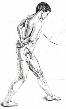 Allungare il muscolo Posizionarsi in piedi in divaricata sagittale con un piede davanti all altro; le mani dietro la schiena con le scapole