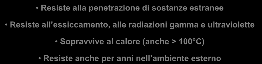 In mancanza di un autoclave, per eliminare le spore si ricorre alla tindalizzazione (da Tyndall, lo scienziato che la ideò): si fa bollire il vasetto per un certo tempo, poi lo si lascia raffreddare,