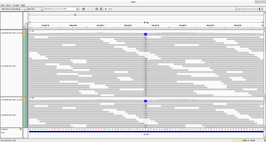 sequencing dal