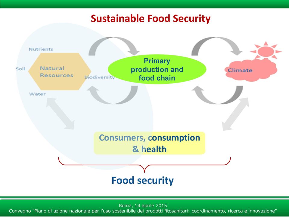 food chain Consumers,