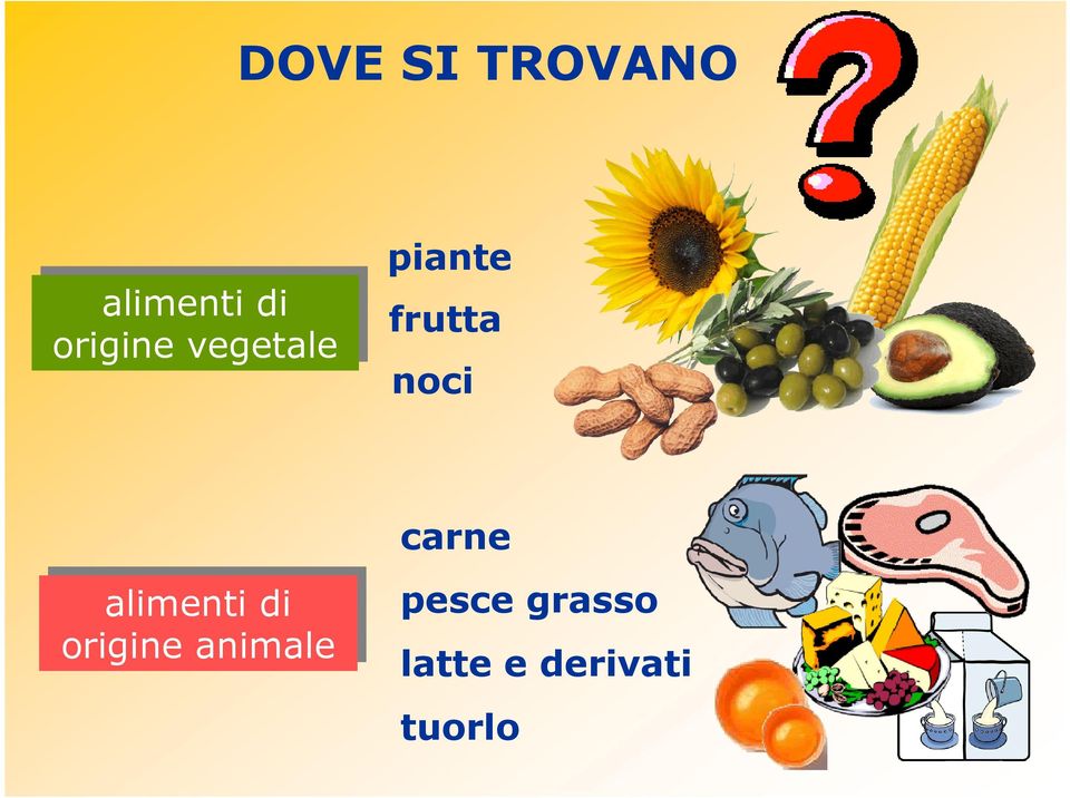 noci alimenti di di origine