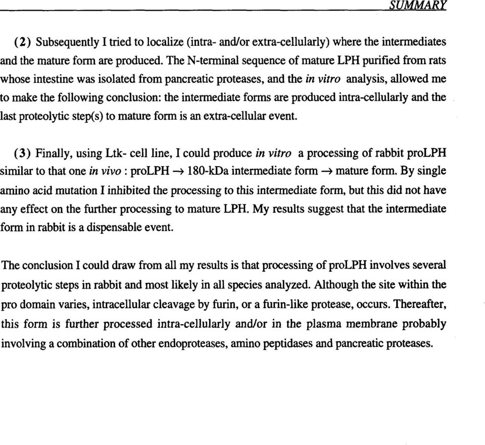 intermediate forms are produced intra-cellularly and the last proteolytic step(s) to mature form is an extra-cellular event.