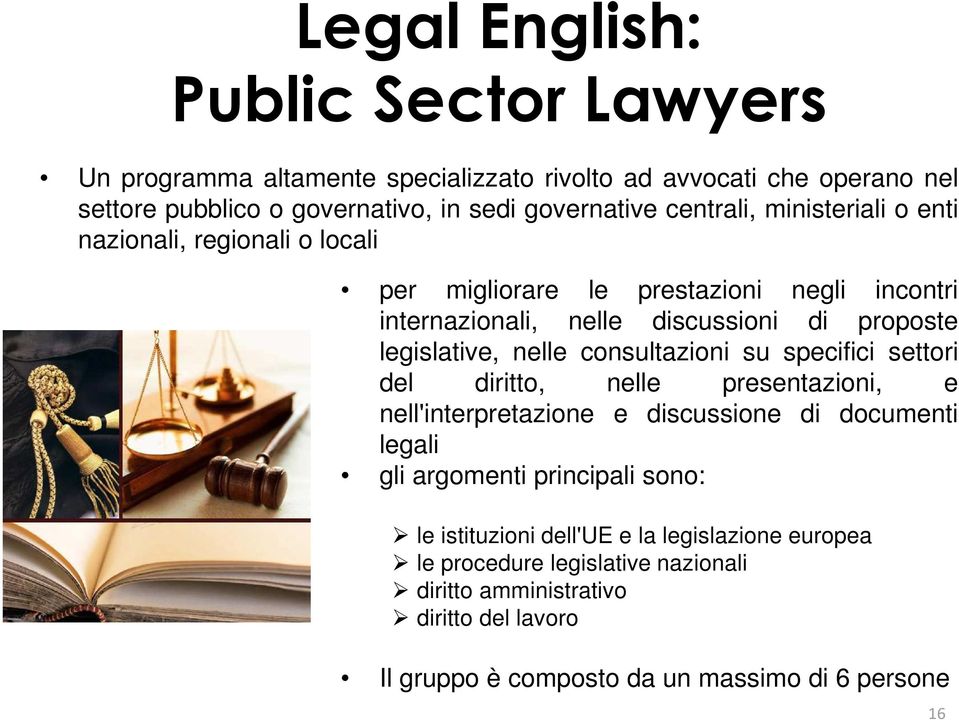 nelle consultazioni su specifici settori del diritto, nelle presentazioni, e nell'interpretazione e discussione di documenti legali gli argomenti principali sono: le