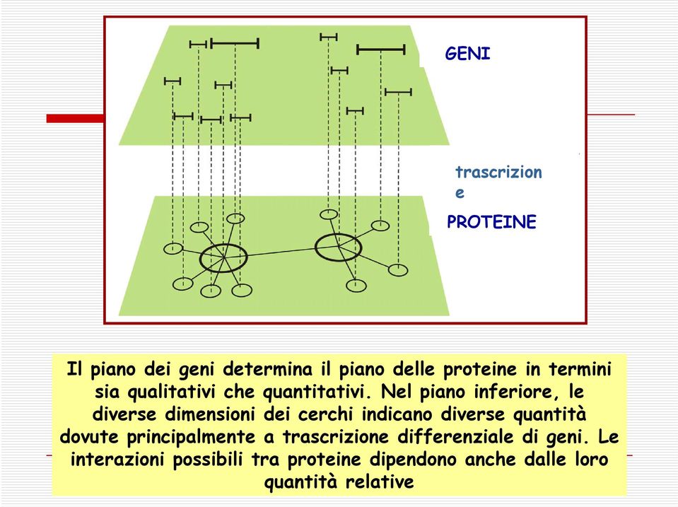 Nel piano inferiore, le diverse dimensioni dei cerchi indicano diverse quantità dovute