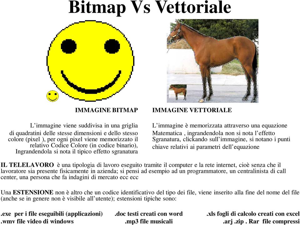 effetto Sgranatura, clickando sull immagine, si notano i punti chiave relativi ai parametri dell equazione IL TELELAVORO è una tipologia di lavoro eseguito tramite il computer e la rete internet,