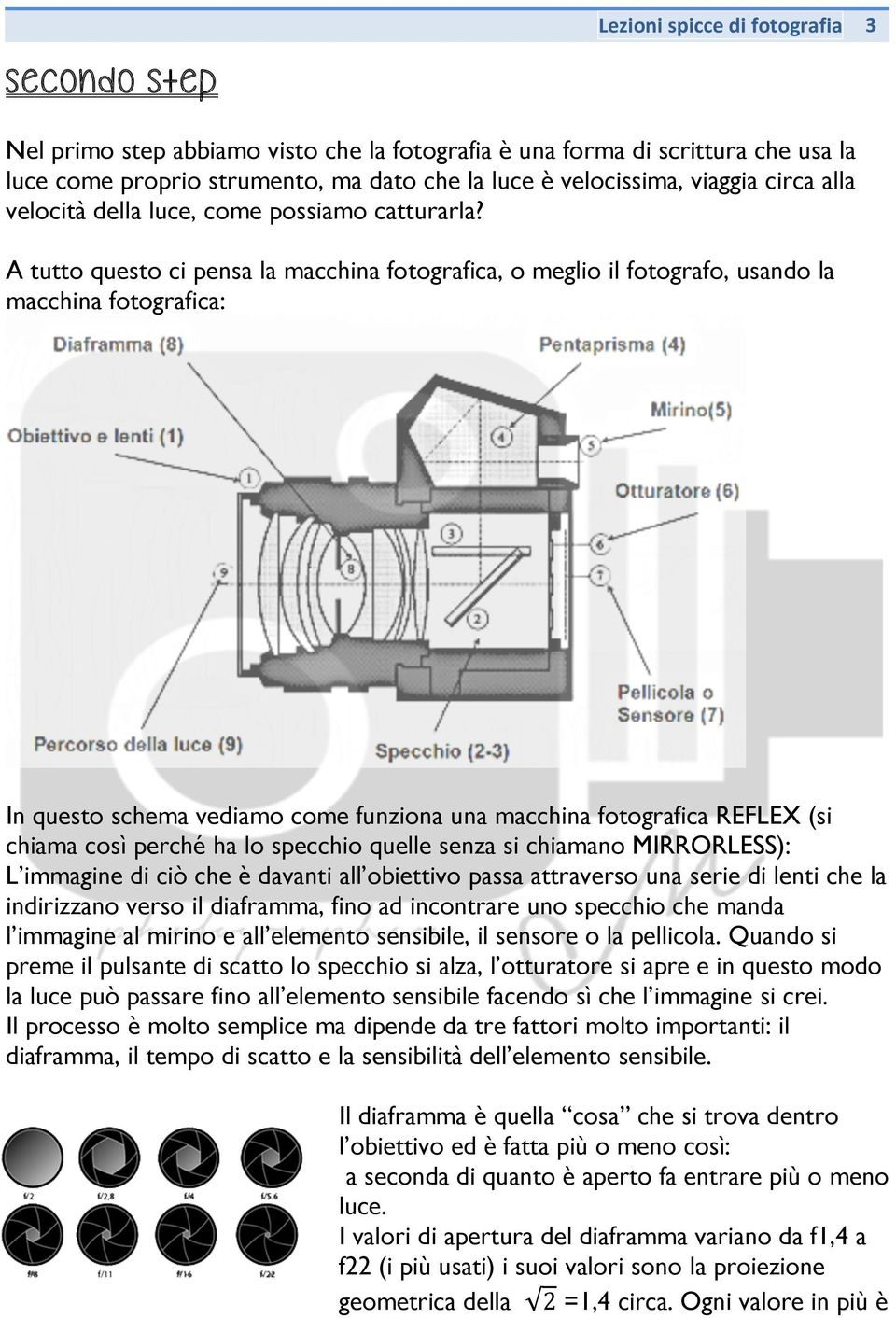 A tutto questo ci pensa la macchina fotografica, o meglio il fotografo, usando la macchina fotografica: In questo schema vediamo come funziona una macchina fotografica REFLEX (si chiama così perché