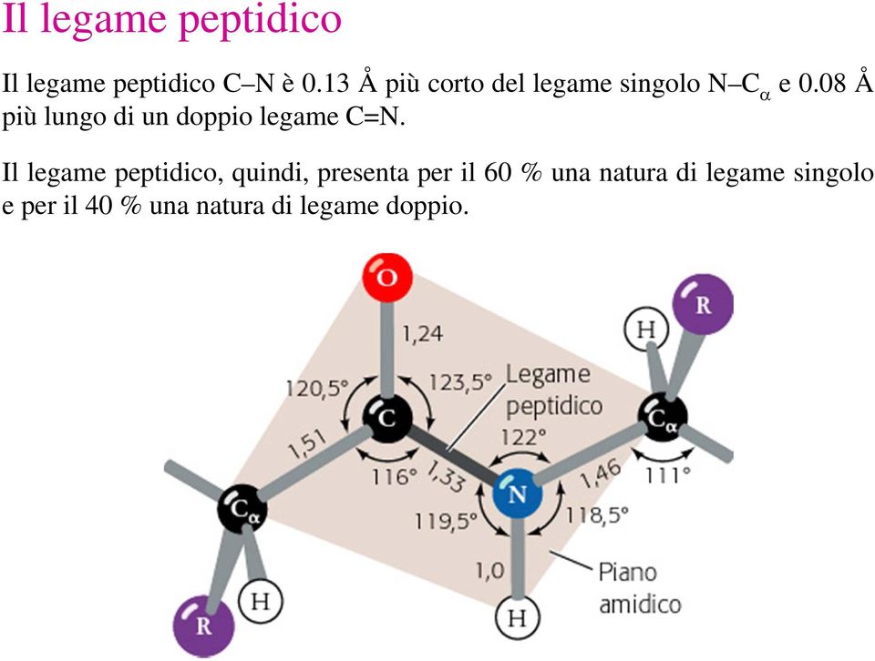 08å più lungo di un doppio legame C=N.