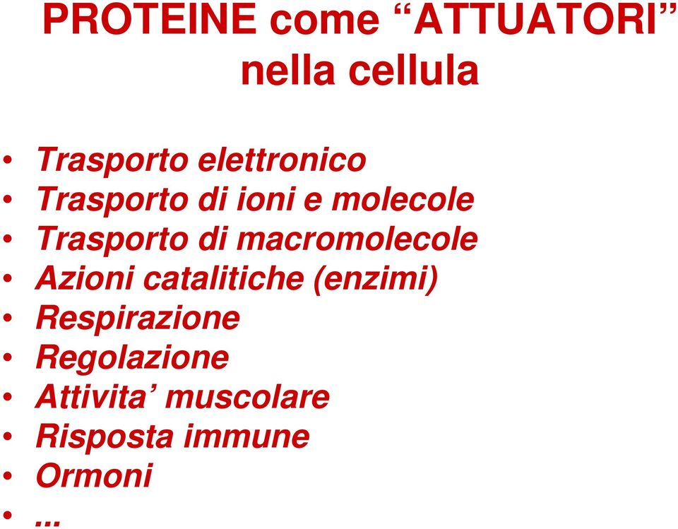 macromolecole Azioni catalitiche (enzimi)