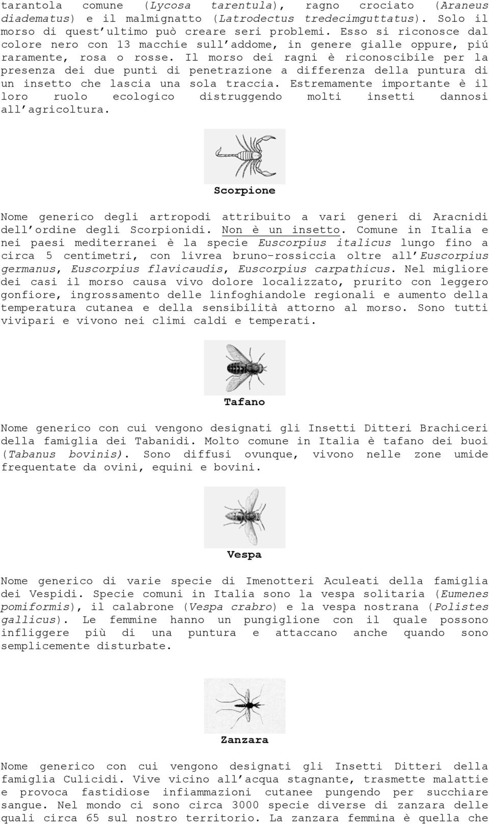 Il morso dei ragni è riconoscibile per la presenza dei due punti di penetrazione a differenza della puntura di un insetto che lascia una sola traccia.