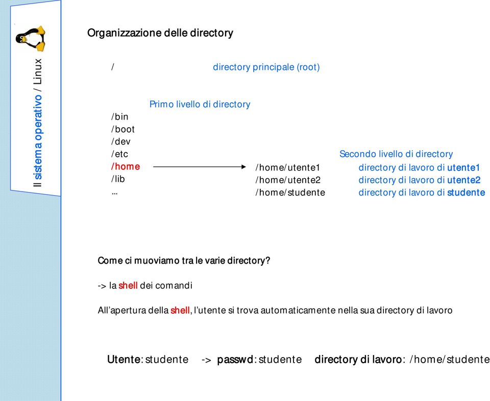 di lavoro di utente2 /home/studente directory di lavoro di studente Come ci muoviamo tra le varie directory?