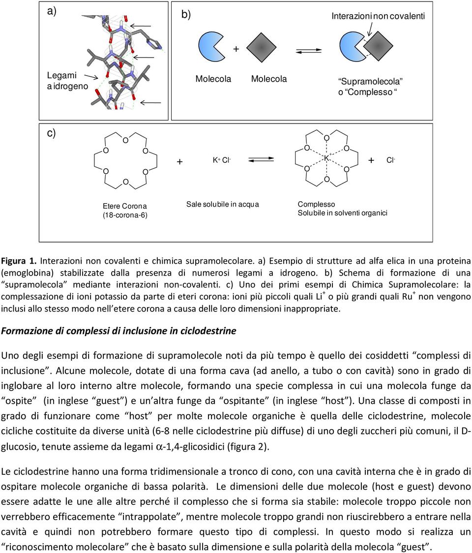 a) Esempio di strutture ad alfa elica in una proteina (emoglobina) stabilizzate dalla presenza di numerosi legami a idrogeno.