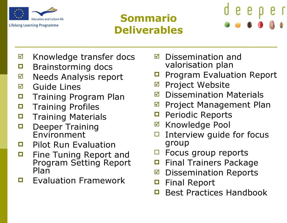 Dissemination and valorisation plan Program Evaluation Report Project Website Dissemination Materials Project Management Plan Periodic Reports