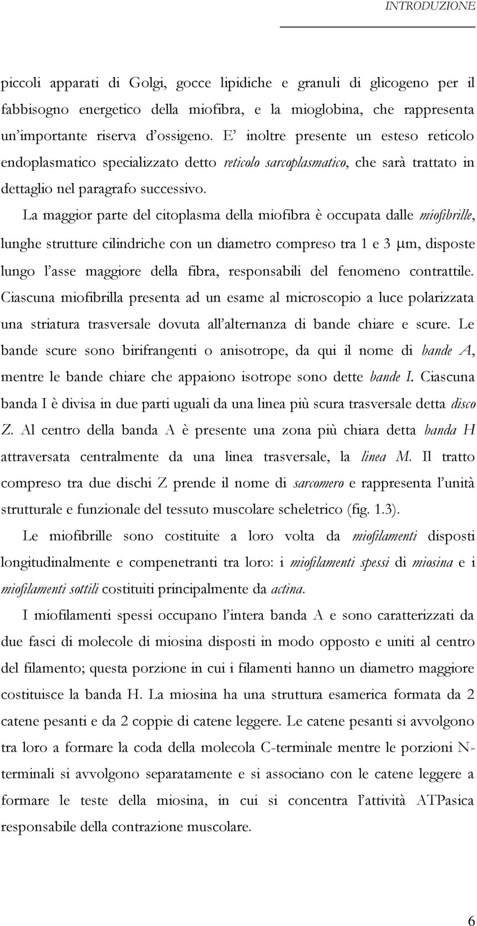 La maggior parte del citoplasma della miofibra è occupata dalle miofibrille, lunghe strutture cilindriche con un diametro compreso tra 1 e 3 m, disposte lungo l asse maggiore della fibra,