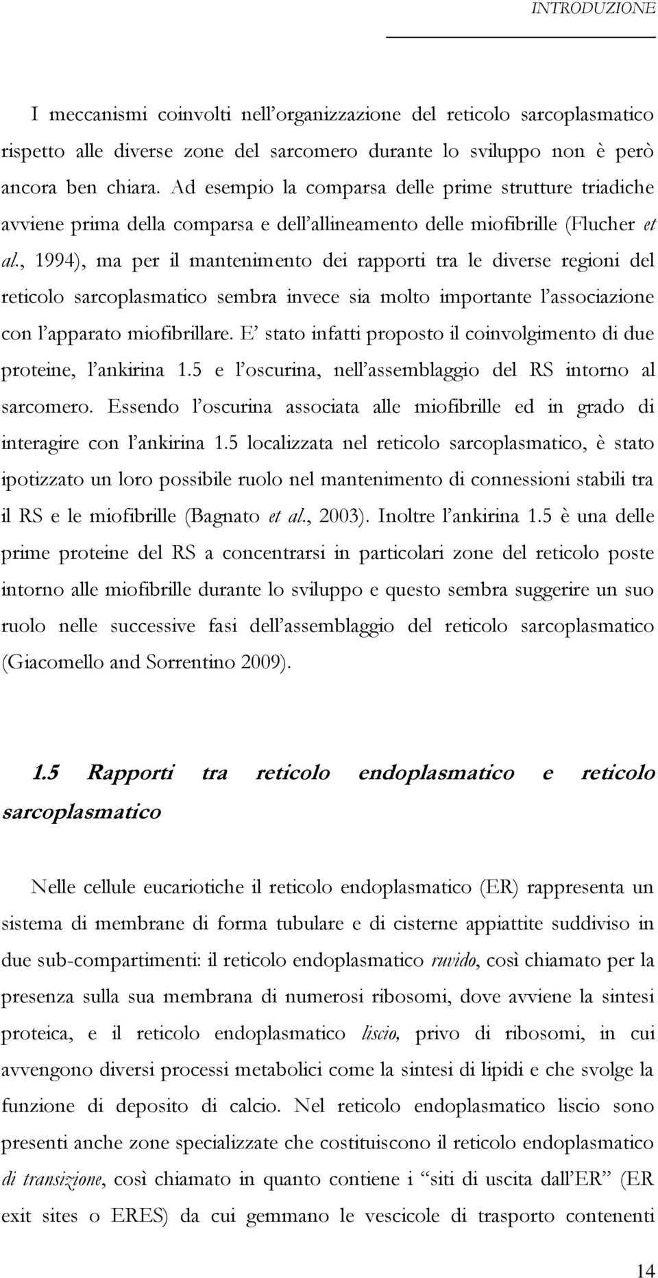 , 1994), ma per il mantenimento dei rapporti tra le diverse regioni del reticolo sarcoplasmatico sembra invece sia molto importante l associazione con l apparato miofibrillare.