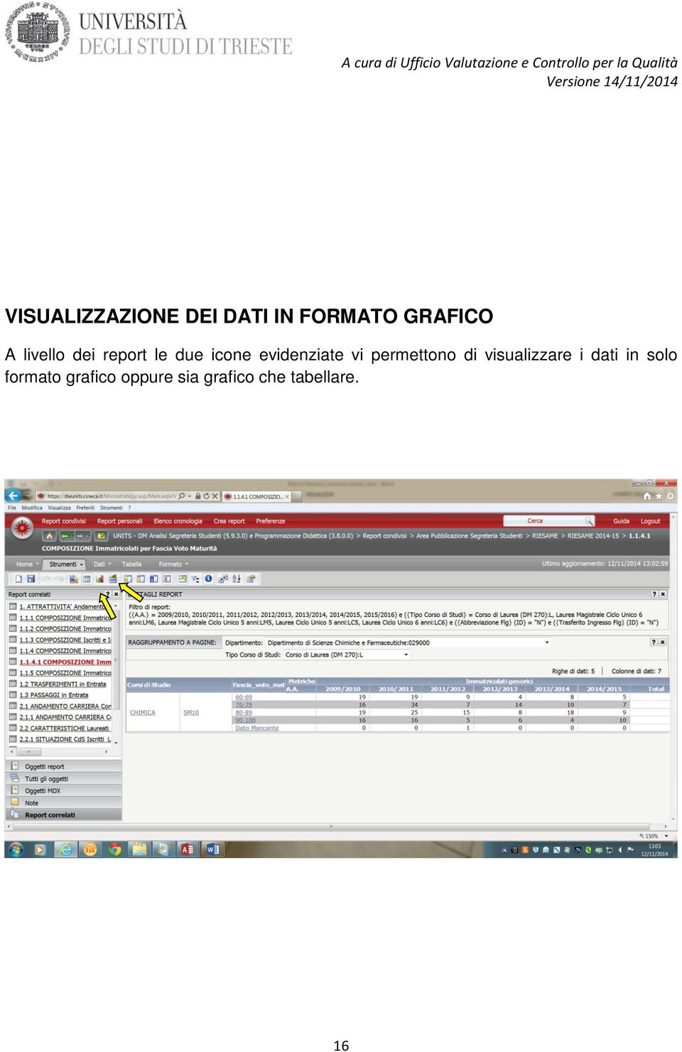 permettono di visualizzare i dati in solo