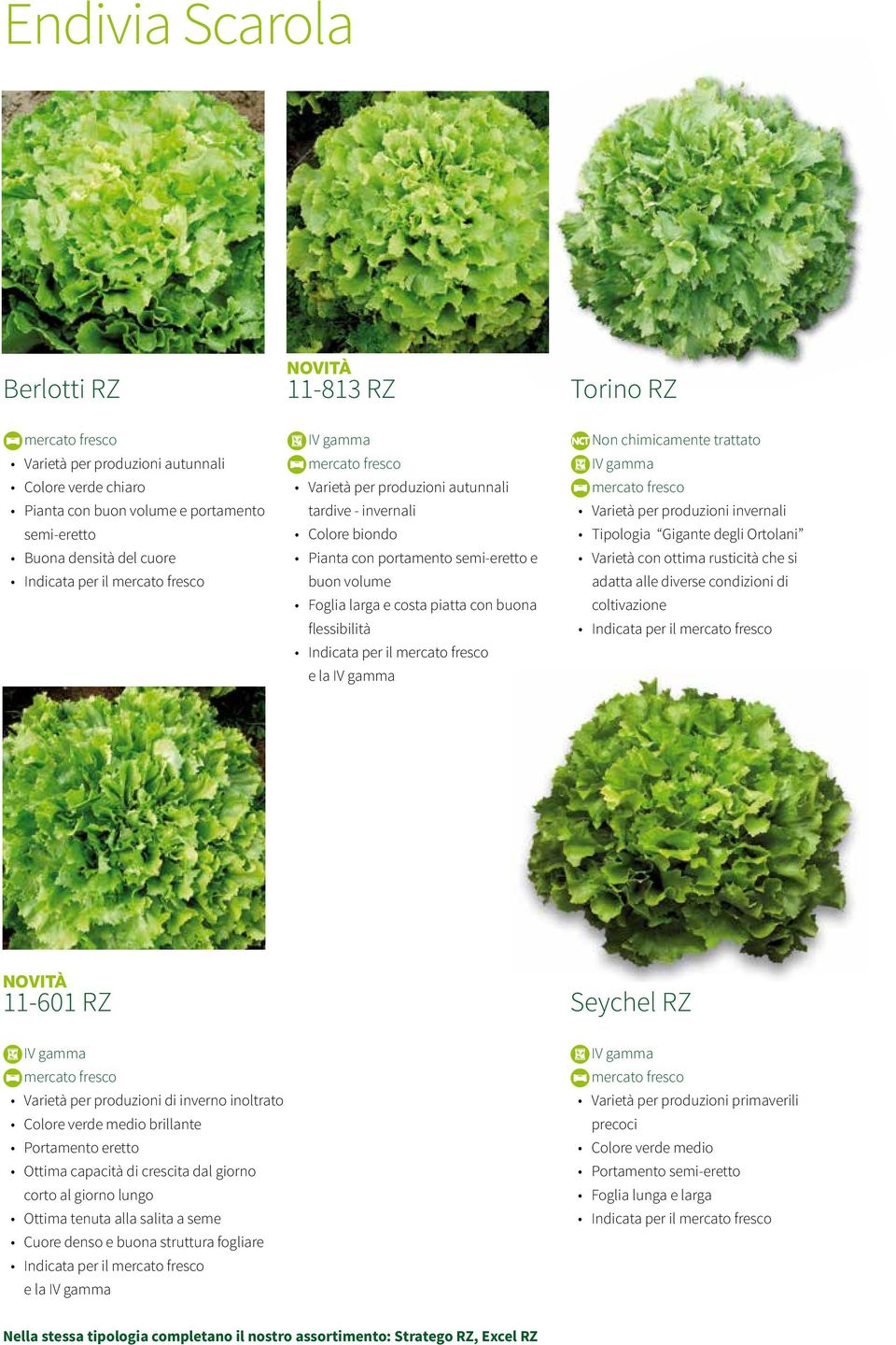 rusticità che si adatta alle diverse condizioni di coltivazione Indicata per il 11-601 RZ Seychel RZ di inverno inoltrato Colore verde medio brillante Portamento eretto Ottima capacità di crescita