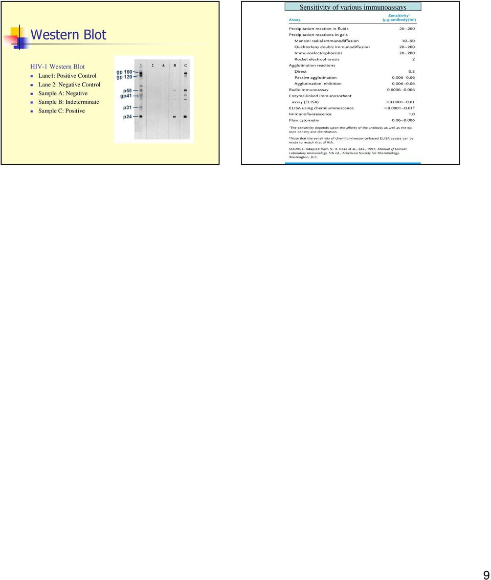 Control Lane 2: Negative Control Sample A: