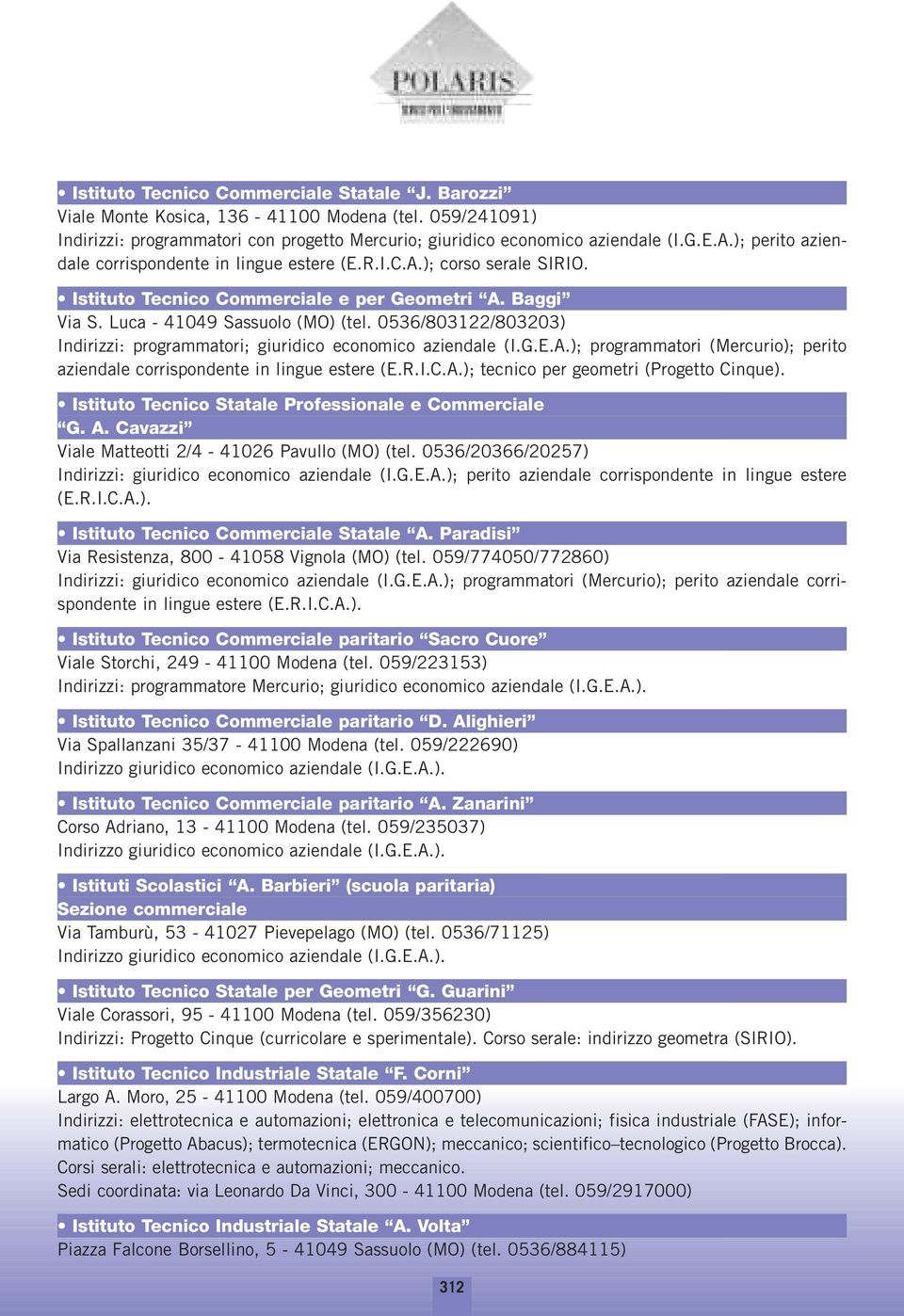 0536/803122/803203) Indirizzi: programmatori; giuridico economico aziendale (I.G.E.A.); programmatori (Mercurio); perito aziendale corrispondente in lingue estere (E.R.I.C.A.); tecnico per geometri (Progetto Cinque).