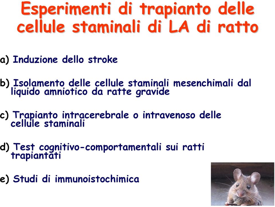 ratte gravide c) Trapianto intracerebrale o intravenoso delle cellule staminali d)