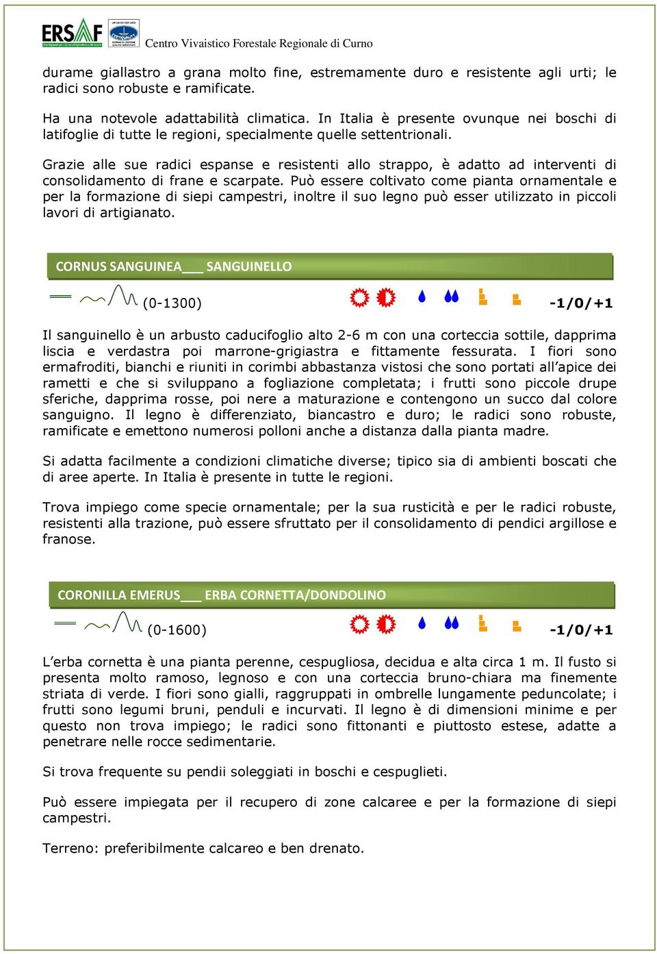 Grazie alle sue radici espanse e resistenti allo strappo, è adatto ad interventi di consolidamento di frane e scarpate.