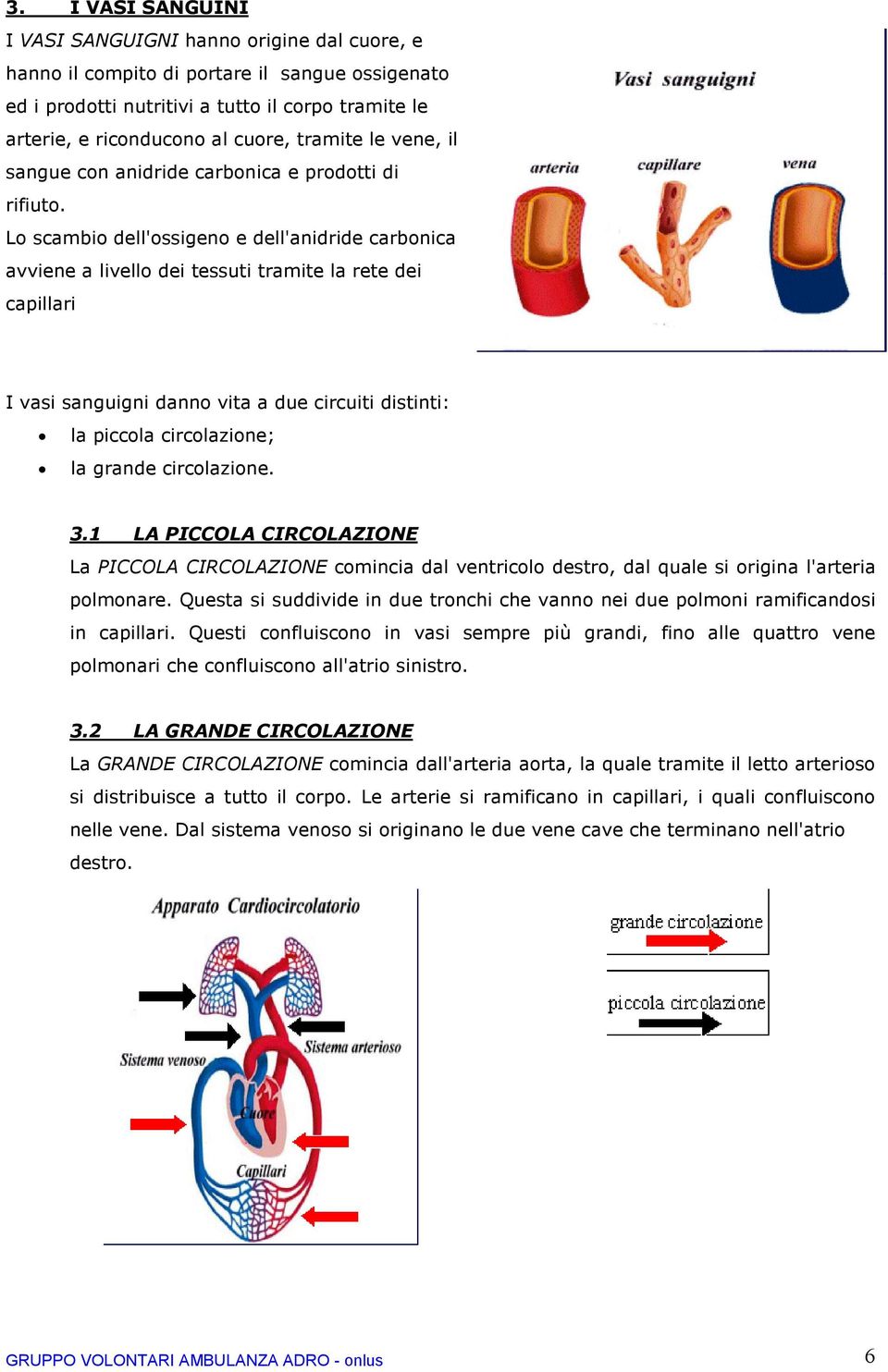 Lo scambio dell'ossigeno e dell'anidride carbonica avviene a livello dei tessuti tramite la rete dei capillari I vasi sanguigni danno vita a due circuiti distinti: la piccola circolazione; la grande