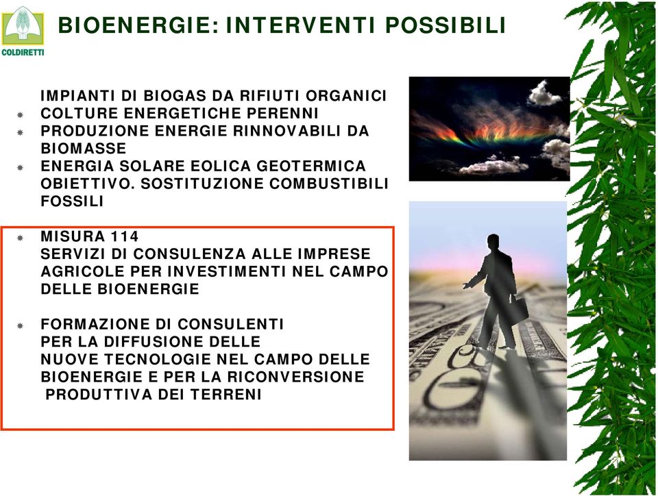 SOSTITUZIONE COMBUSTIBILI FOSSILI MISURA 114 SERVIZI DI CONSULENZA ALLE IMPRESE AGRICOLE PER INVESTIMENTI NEL