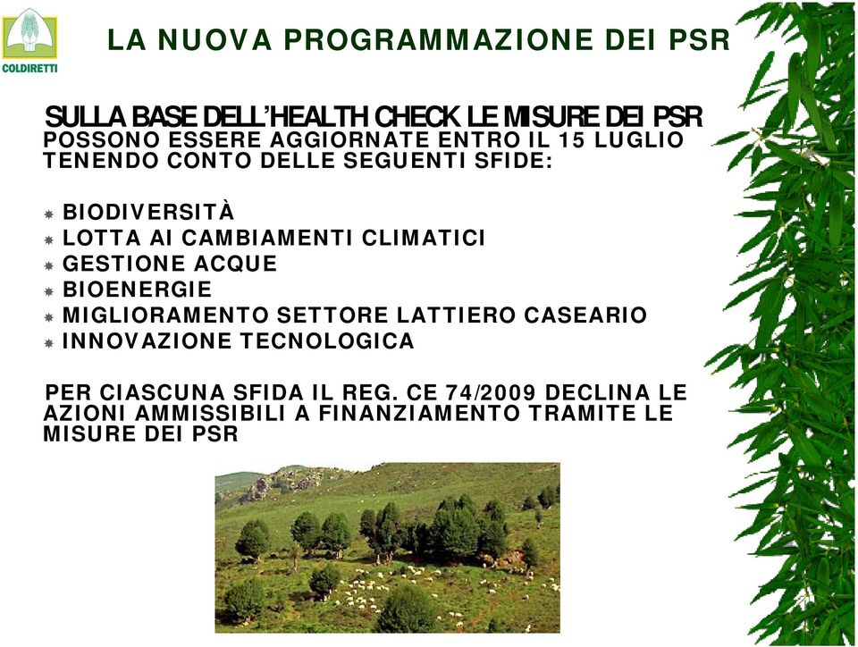 CLIMATICI GESTIONE ACQUE BIOENERGIE MIGLIORAMENTO SETTORE LATTIERO CASEARIO INNOVAZIONE TECNOLOGICA