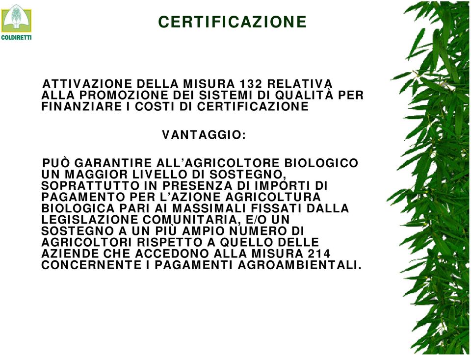 IMPORTI DI PAGAMENTO PER L AZIONE AGRICOLTURA BIOLOGICA PARI AI MASSIMALI FISSATI DALLA LEGISLAZIONE COMUNITARIA, E/O UN