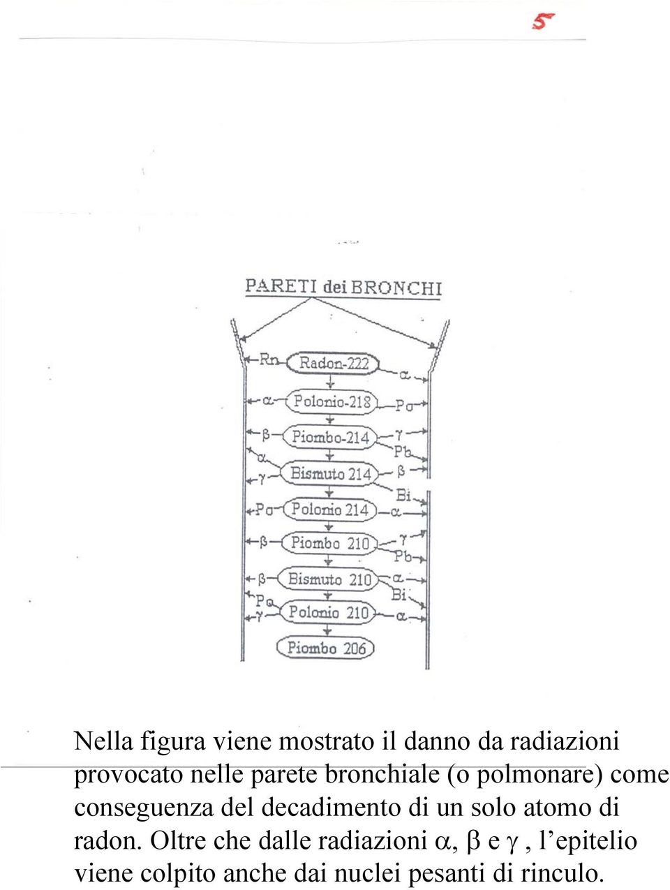 decadimento di un solo atomo di radon.