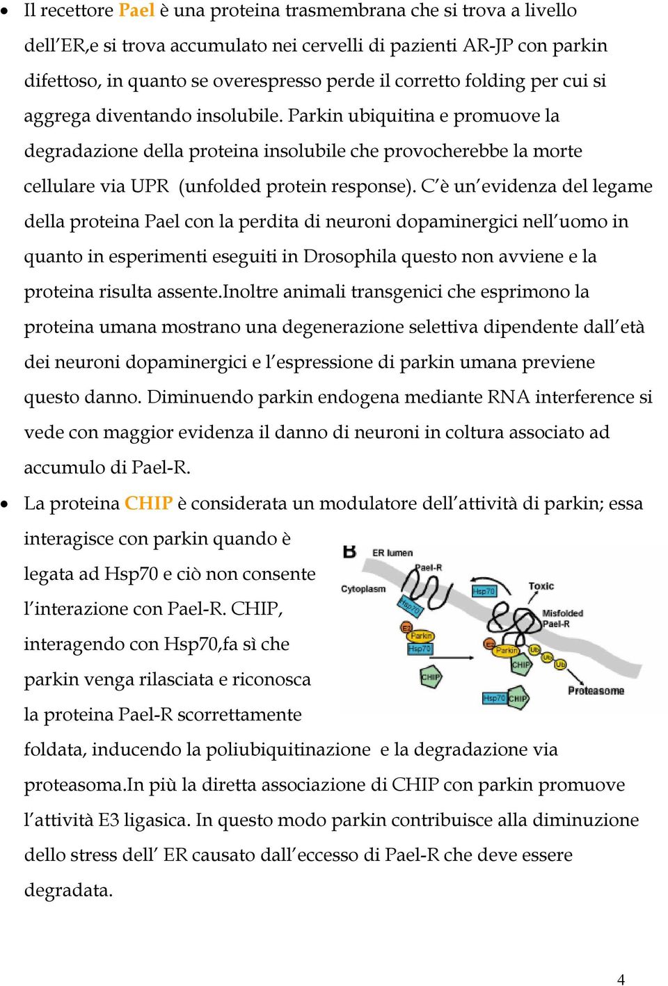 C è un evidenza del legame della proteina Pael con la perdita di neuroni dopaminergici nell uomo in quanto in esperimenti eseguiti in Drosophila questo non avviene e la proteina risulta assente.