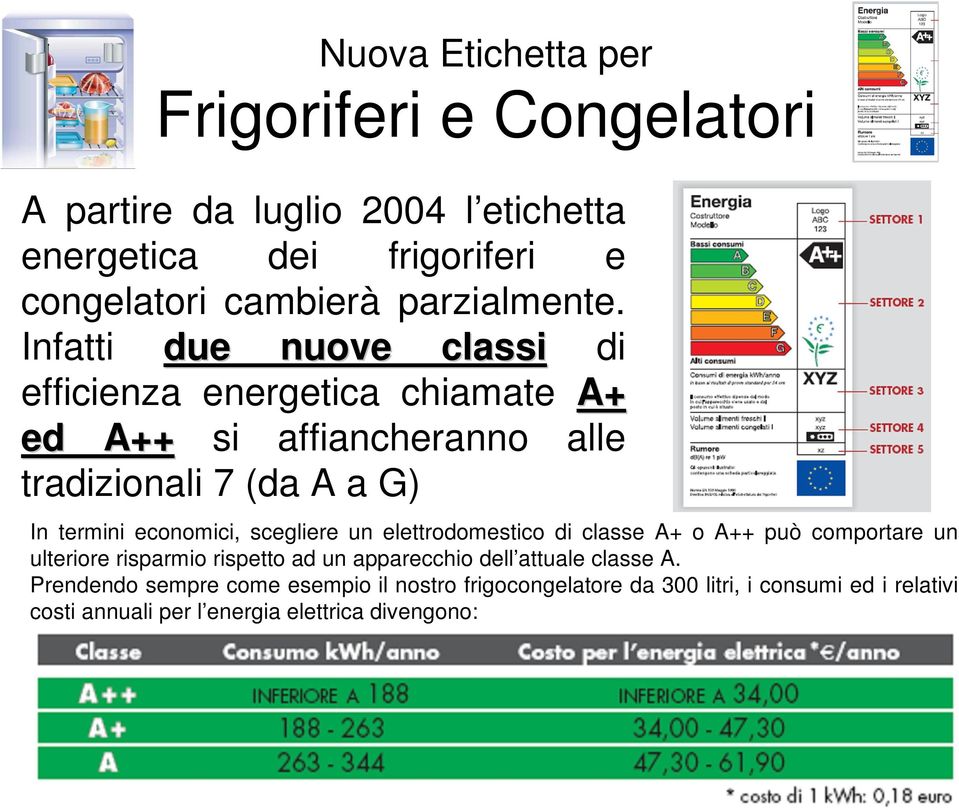 Infatti due nuove classi di efficienza energetica chiamate A+ ed A++ si affiancheranno alle tradizionali 7 (da A a G) In termini economici,