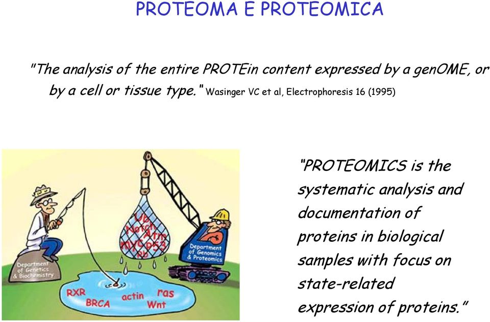Wasinger VC et al, Electrophoresis 16 (1995) PROTEOMICS is the systematic