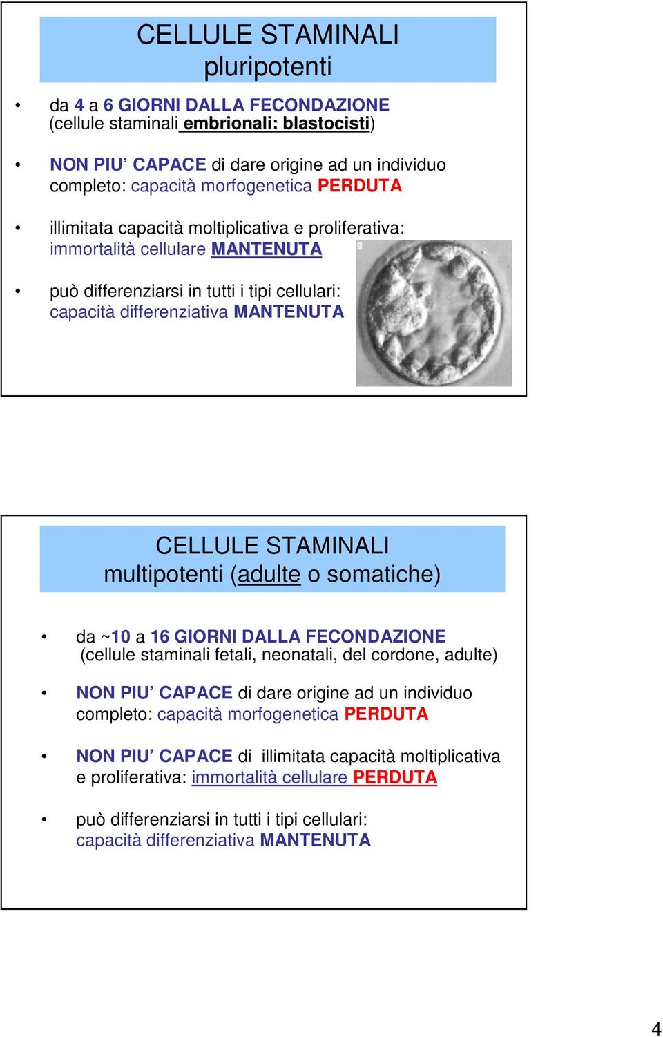 multipotenti (adulte o somatiche) da ~10 a 16 GIORNI DALLA FECONDAZIONE (cellule staminali fetali, neonatali, del cordone, adulte) NON PIU CAPACE di dare origine ad un individuo completo: